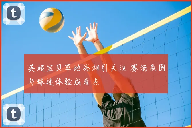 英超宝贝草地亮相引关注 赛场氛围与球迷体验成看点