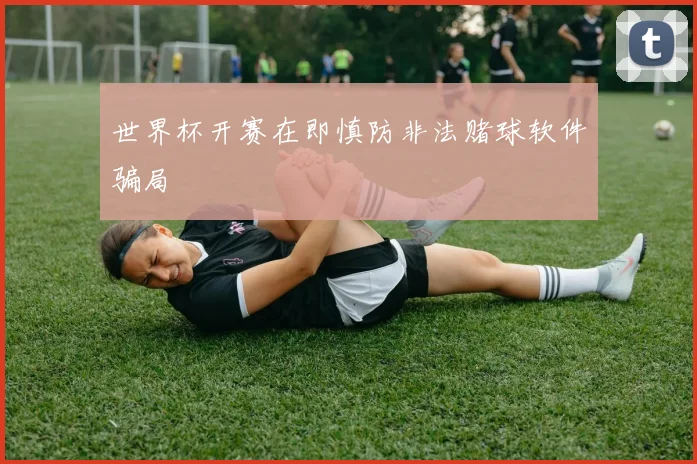 世界杯开赛在即慎防非法赌球软件骗局